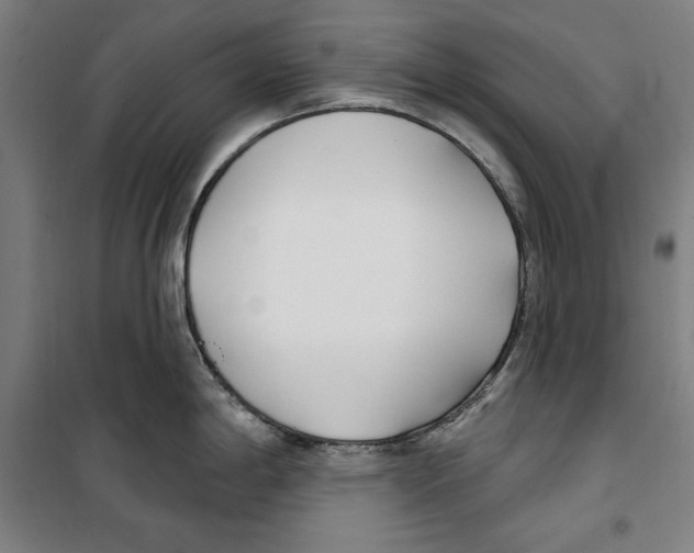 X0000100321198200807031203