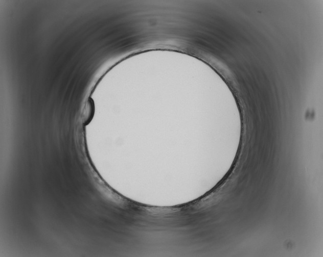 X0000100321200200807031203