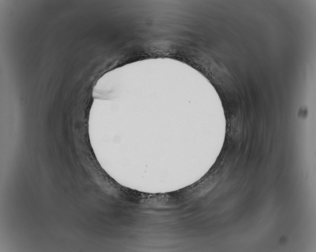 X0000100321201200807031202