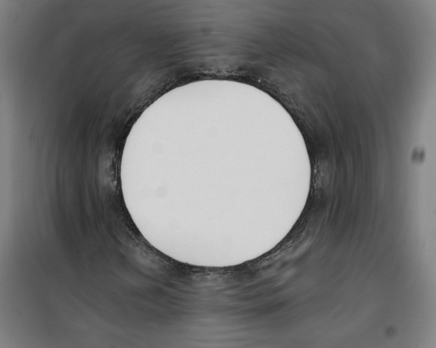 X0000100321202200807031202