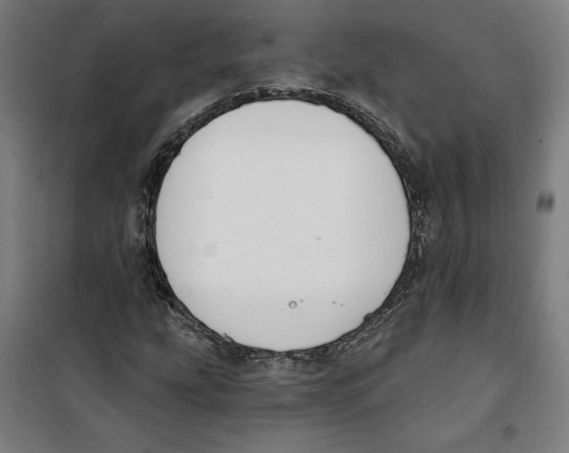 X0000100321207200807031202