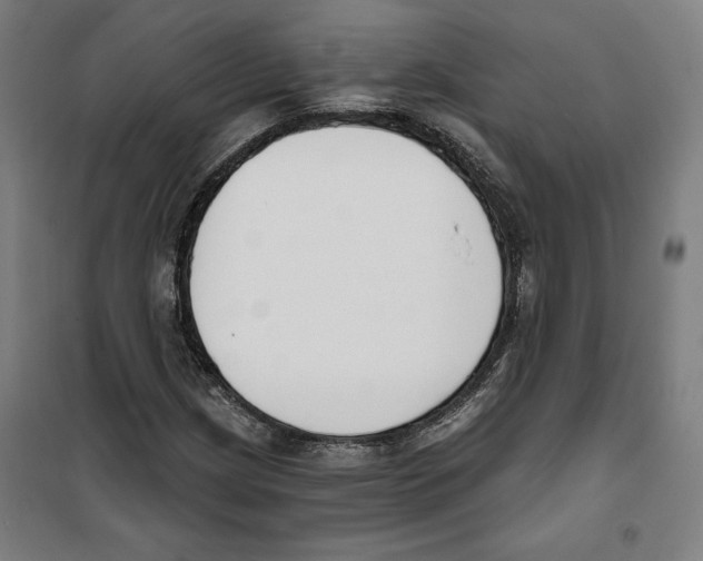 X0000100321209200807031202