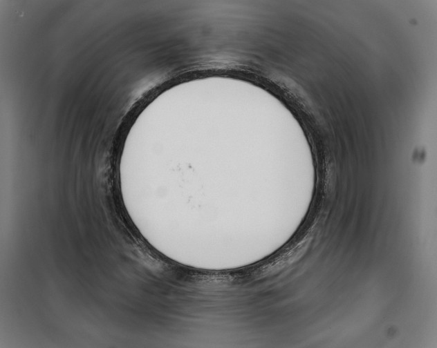 X0000100321210200807031202