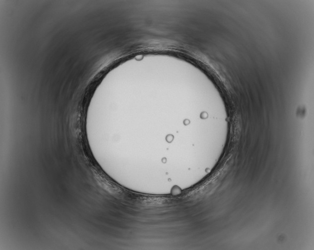 X0000100321211200807031202