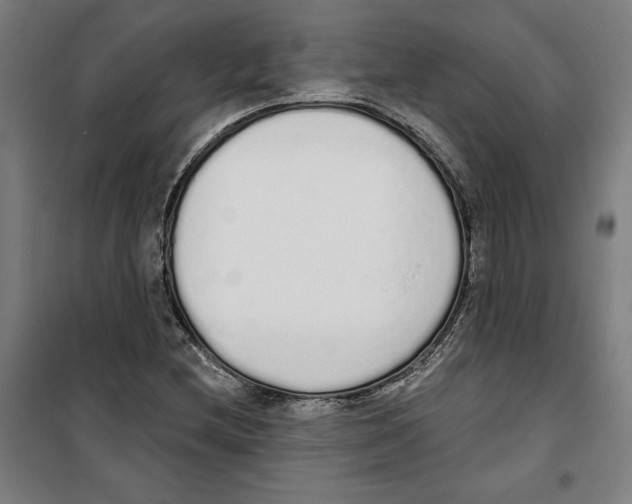 X0000100321212200807031202