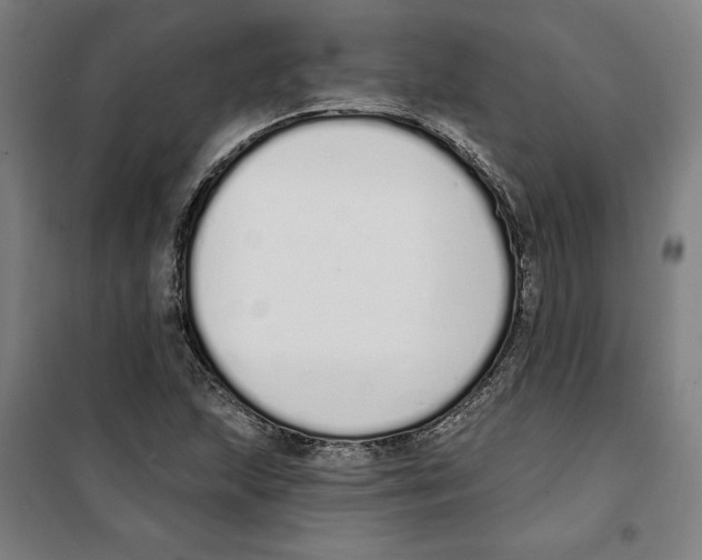 X0000100321215200807031203