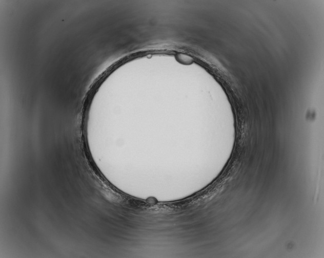 X0000100321216200807031203