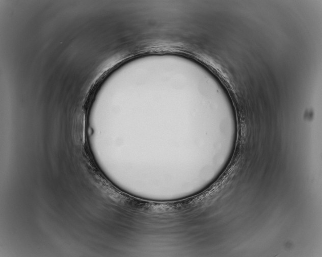 X0000100321219200807031203