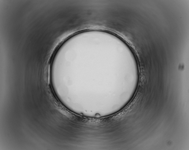 X0000100321223200807031203