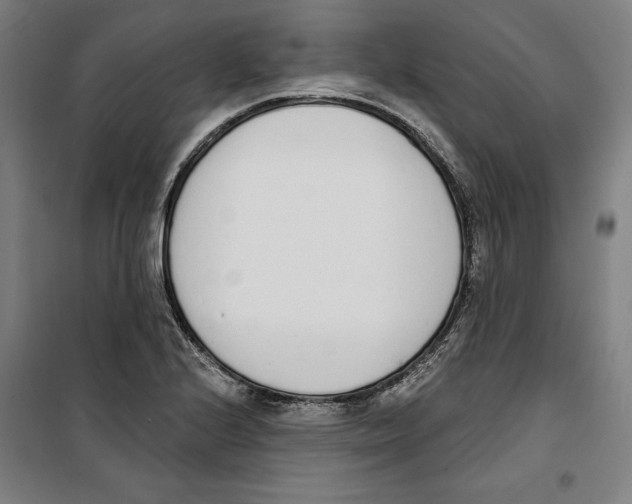 X0000100321224200807031203