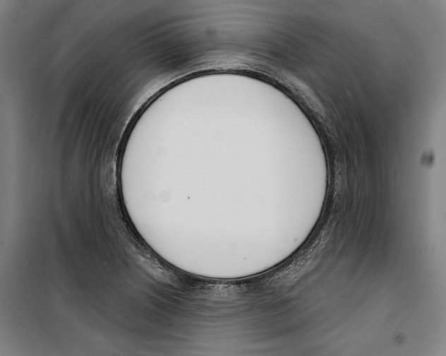 X0000100321226200807031203