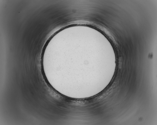 X0000100321229200807031203