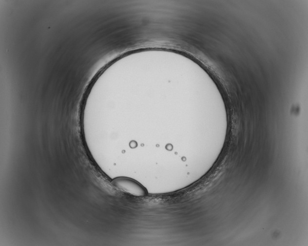 X0000100321230200807031203