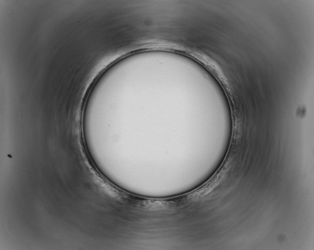 X0000100321231200807031203