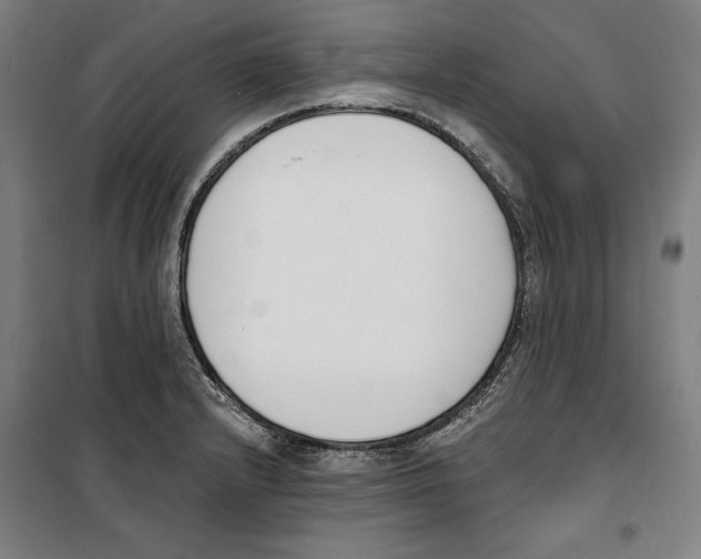 X0000100321232200807031203