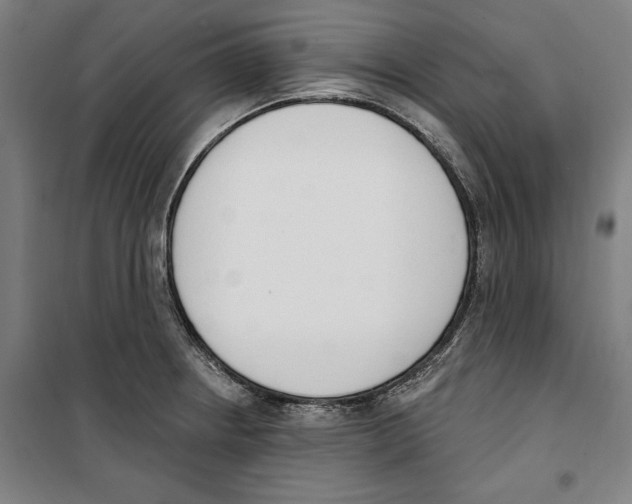 X0000100321234200807031203