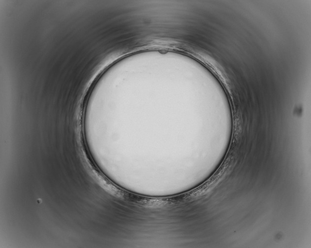 X0000100321235200807031203