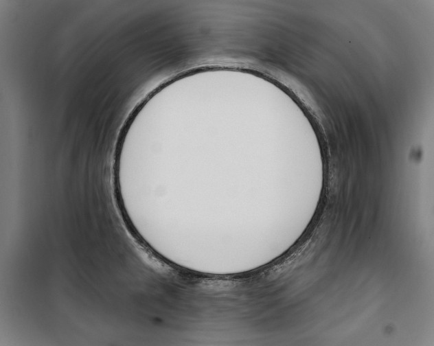 X0000100321237200807031203