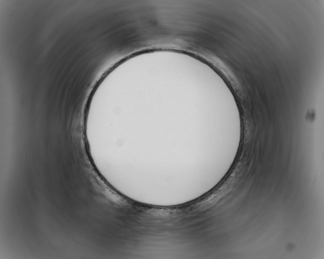 X0000100321240200807031203