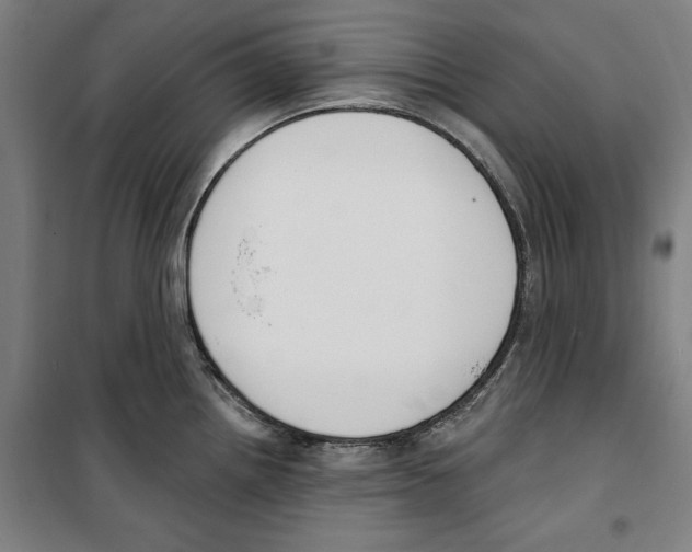 X0000100321242200807031203