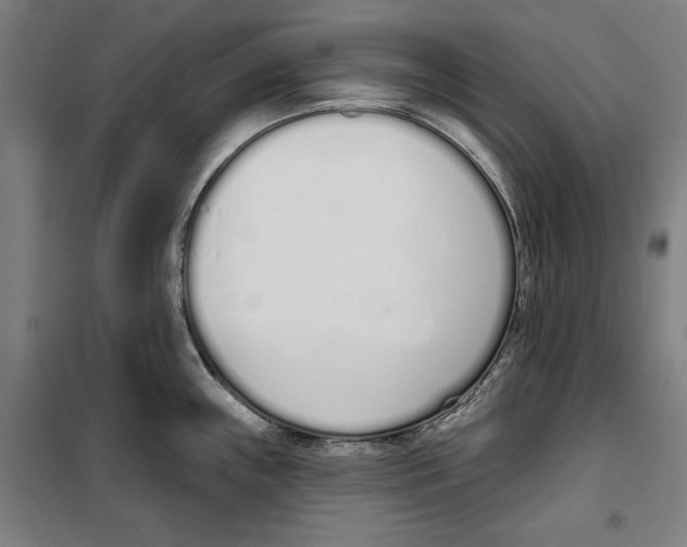 X0000100321243200807031203