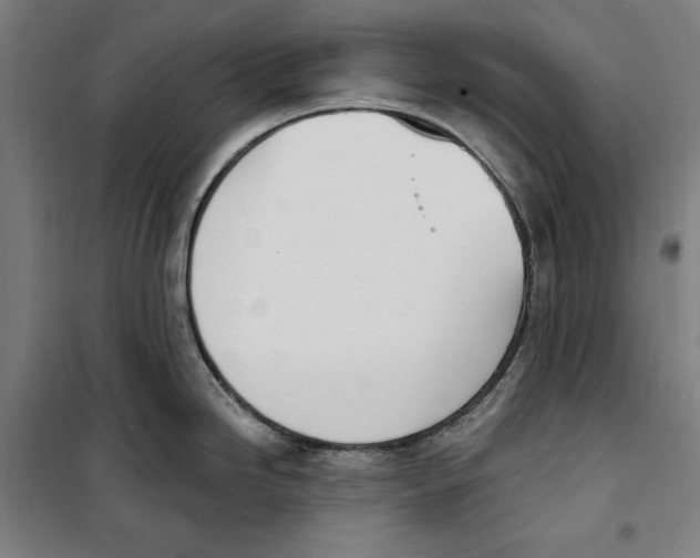 X0000100321246200807031203