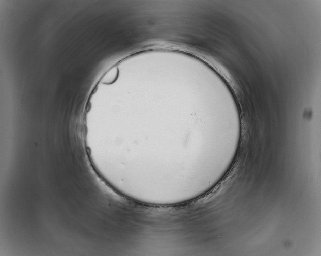 X0000100321247200807031203