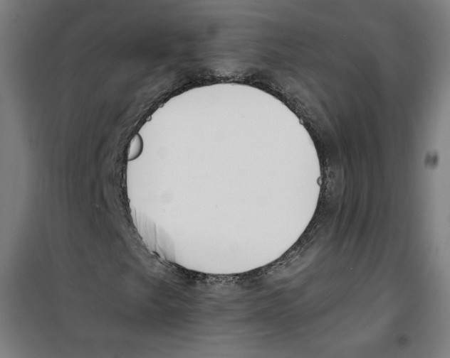 X0000100321249200807031202