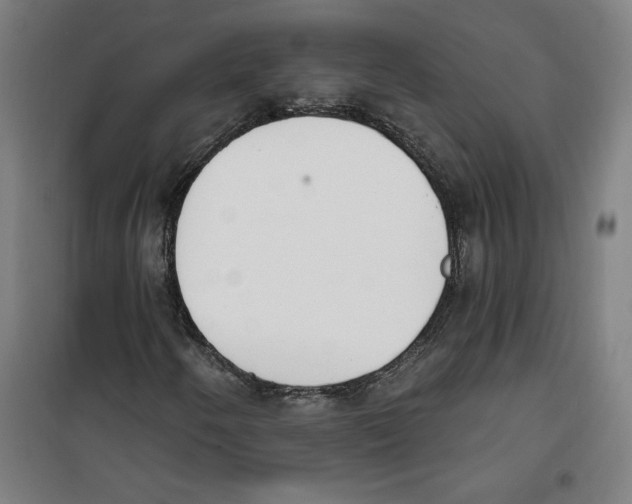 X0000100321250200807031202