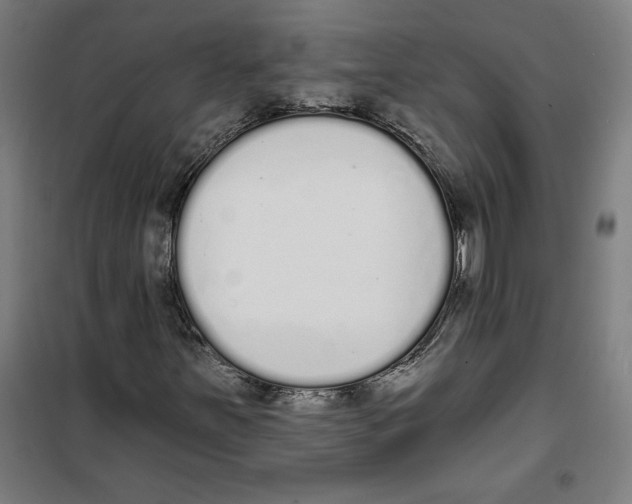 X0000100321251200807031202