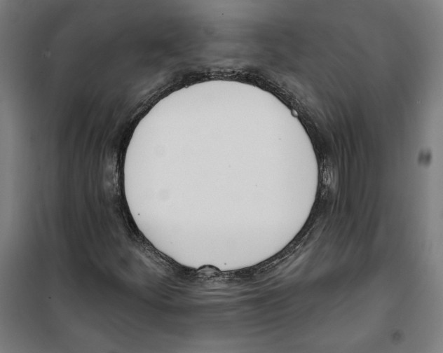 X0000100321252200807031202