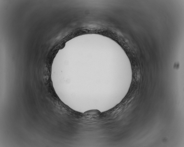 X0000100321253200807031202