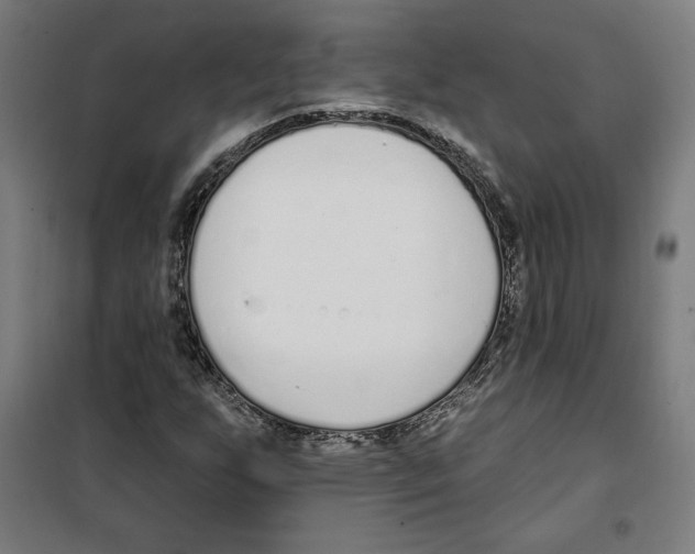 X0000100321255200807031202