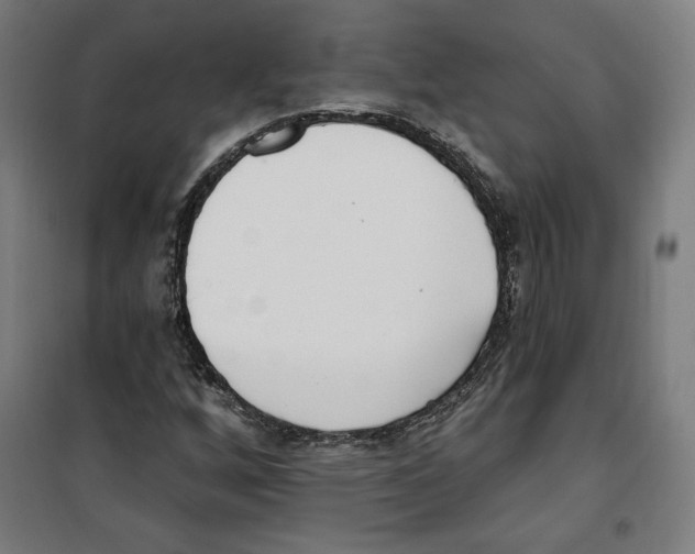 X0000100321256200807031202