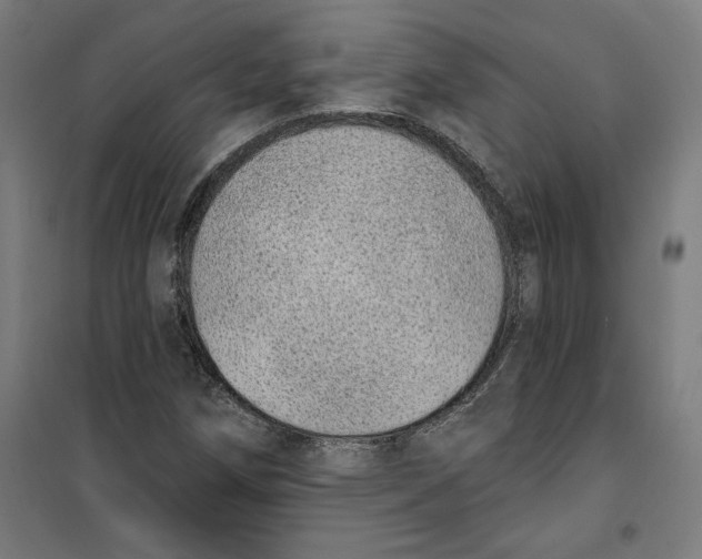 X0000100321258200807031202