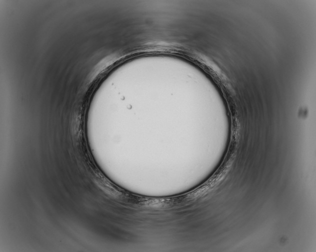 X0000100321259200807031202