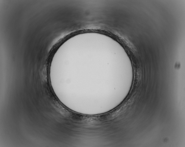 X0000100321262200807031202