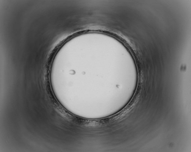 X0000100321263200807031202