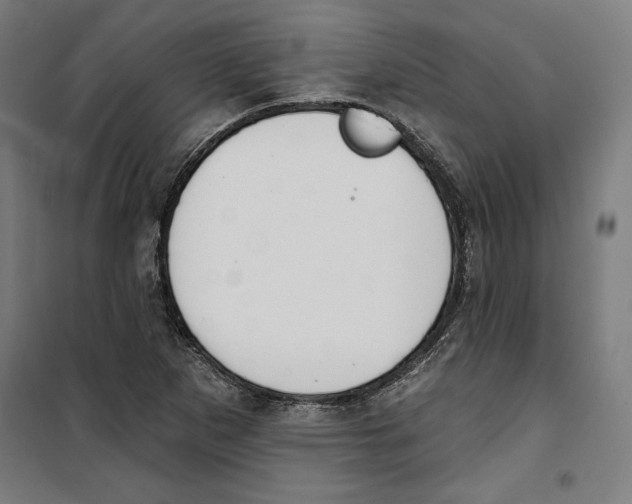 X0000100321265200807031202