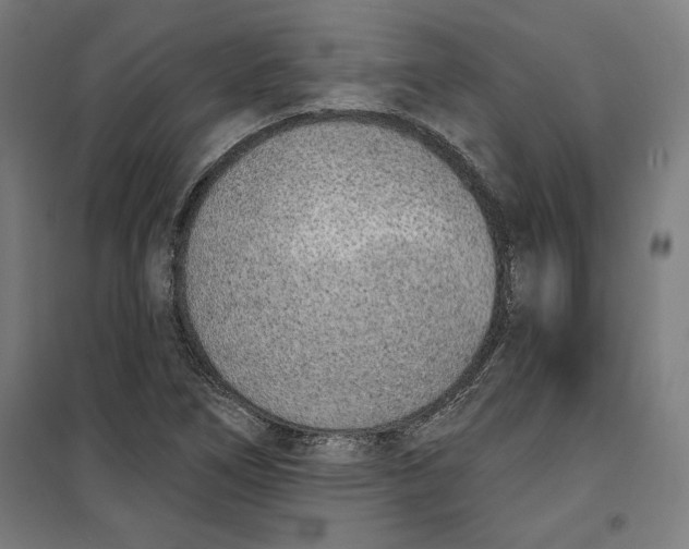 X0000100321266200807031202