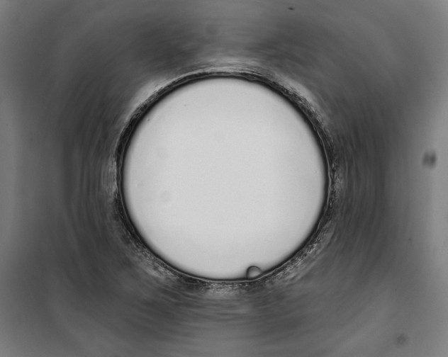 X0000100321267200807031202