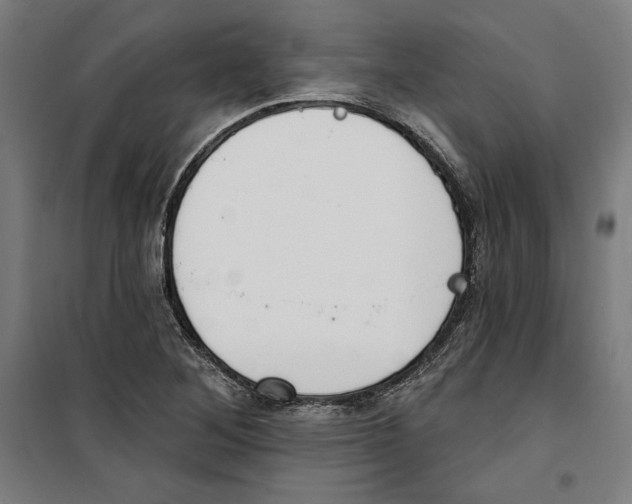 X0000100321268200807031202