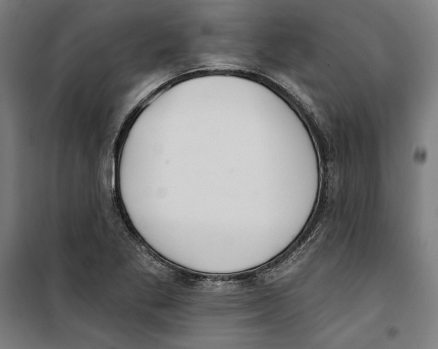 X0000100321269200807031202