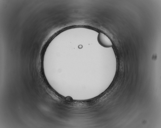 X0000100321270200807031202