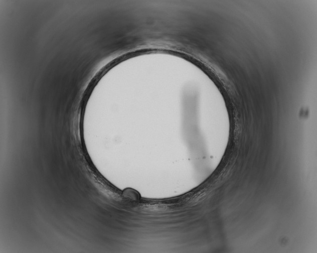 X0000100321272200807031202