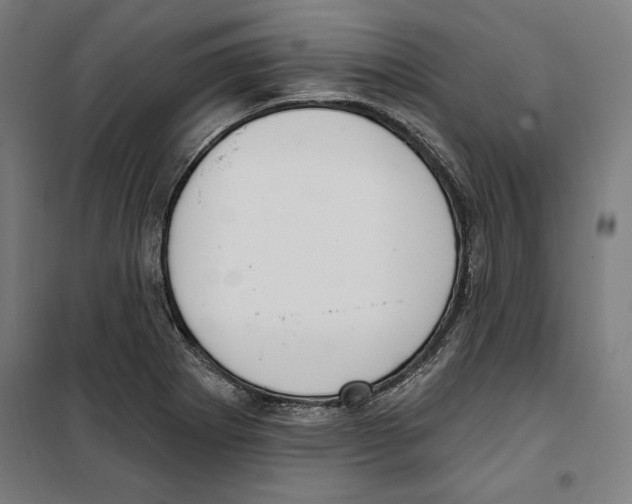 X0000100321273200807031202