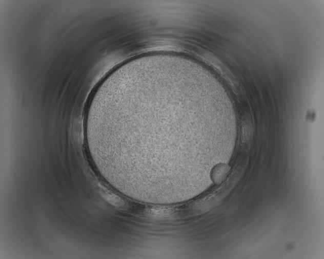 X0000100321274200807031202