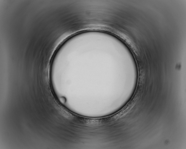 X0000100321275200807031202