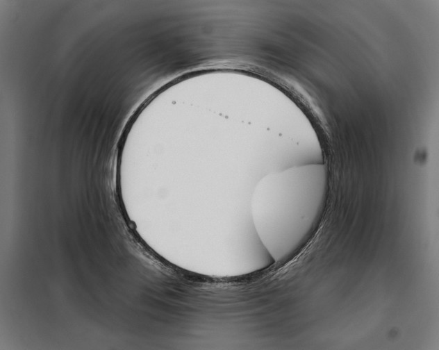 X0000100321276200807031202