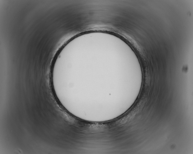 X0000100321277200807031202